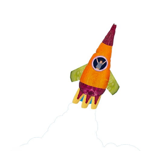 launch-into-veg-fb-rocket